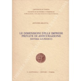 Le dimensioni delle imprese private di assicurazione. Sistema giuridico