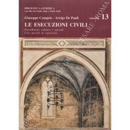 Le esecuzioni civili. Procedimenti ordinari e speciali. Casi speciali di …
