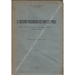 Le questioni pregiudiziali nel processo penale. Premiato dall'Istituto Nazionale di …