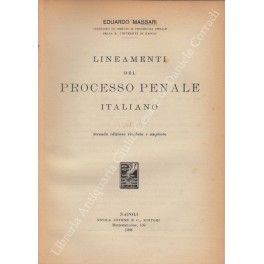 Lineamenti del processo penale italiano