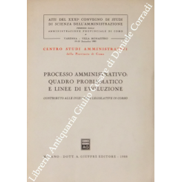 Processo amministrativo: quadro problematico e linee di evoluzione. Contributo alle …