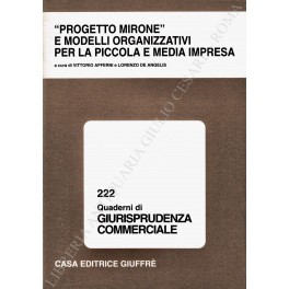 Progetto Mirone" e modelli organizzativi per la piccola e media …