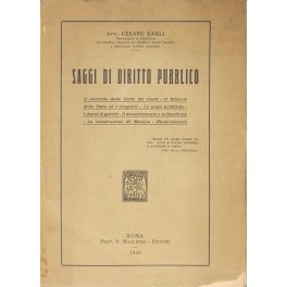 Saggi di diritto pubblico. Il controllo della Corte dei Conti; …