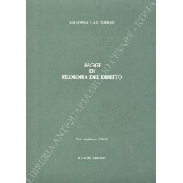 Saggi di filosofia del diritto. Anno Accademico 1988/89