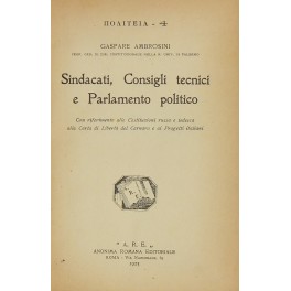 Sindacati Consigli tecnici e Parlamento politico. Con riferimento alle Costituzioni …