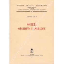 Società scioglimento e liquidazione