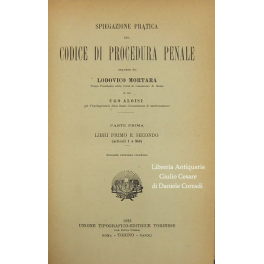 Spiegazione pratica del Codice di procedura penale. Vol. I - …