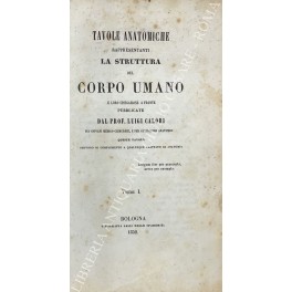 Tavole anatomiche rappresentanti la struttura del corpo umano e loro …
