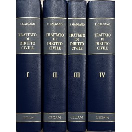 Trattato di diritto civile. Vol. I - Le categorie generali; …