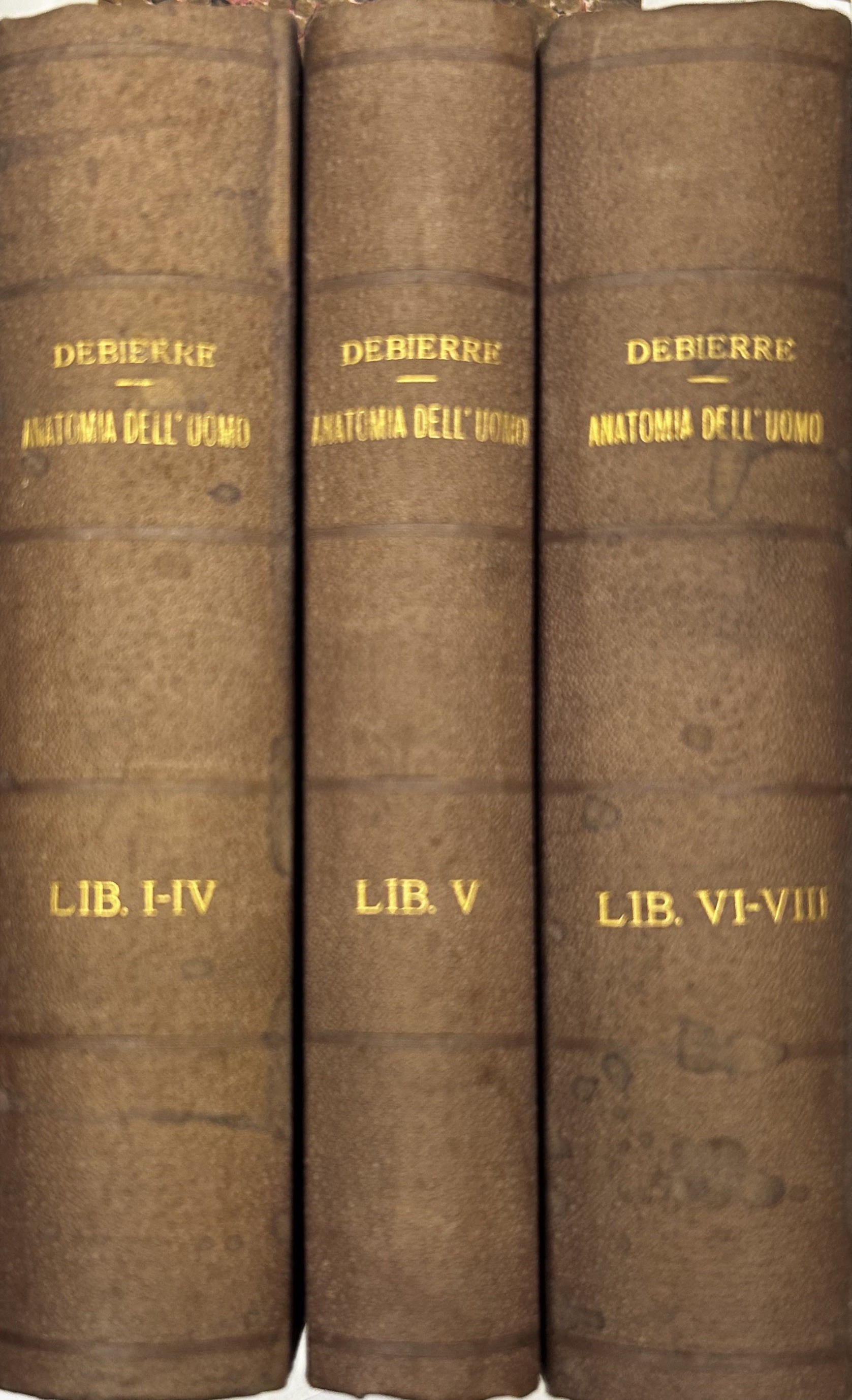 Trattato elementare di anatomia dell'uomo (anatomia descrittiva e dissezione) con …