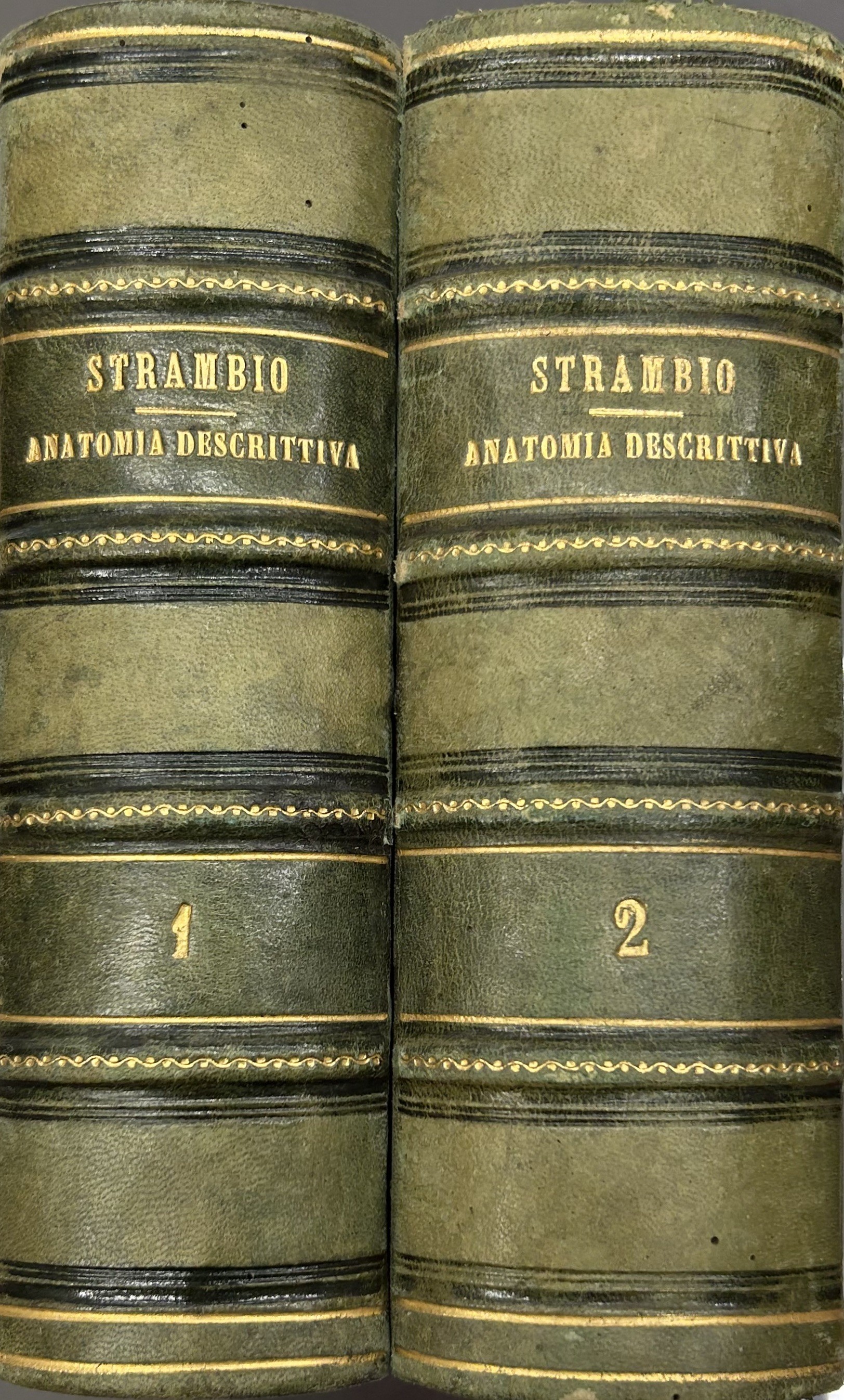 Trattato elementare di anatomia descrittiva e di preparazioni anatomiche desunto …