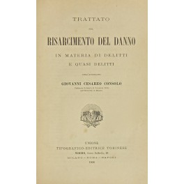 Trattato sul risarcimento del danno in materia di delitti e …
