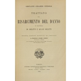Trattato sul risarcimento del danno in materia di delitti e …
