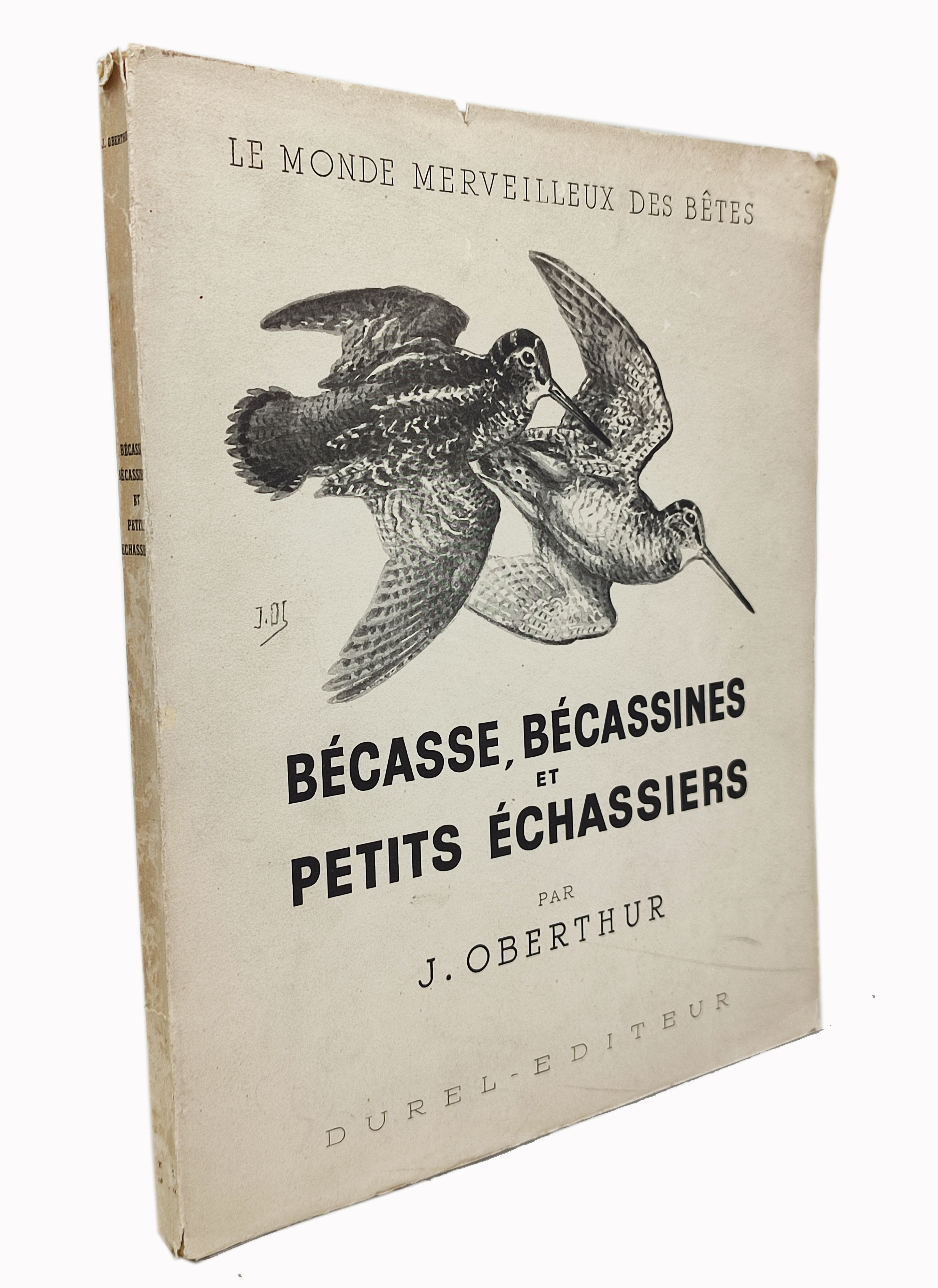 BECASSE, BECASSINES ET PETITS ECHASSIERS