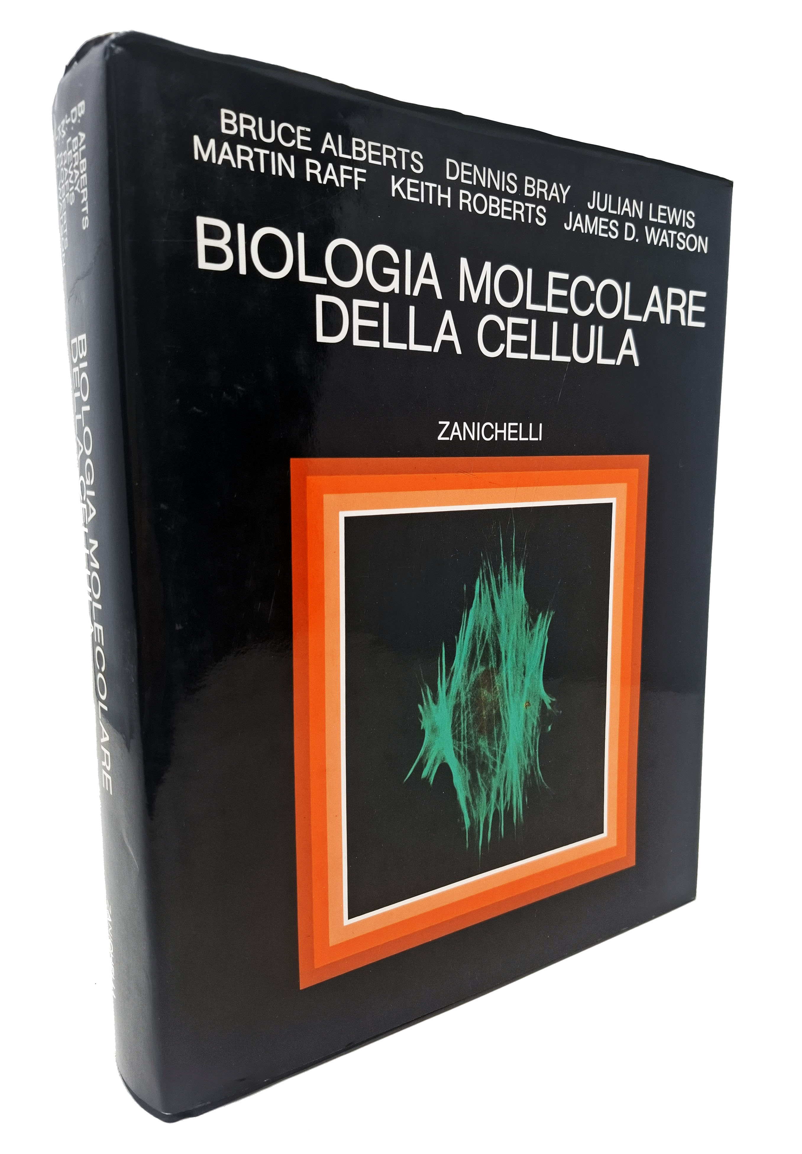 BIOLOGIA MOLECOLARE DELLA CELLULA