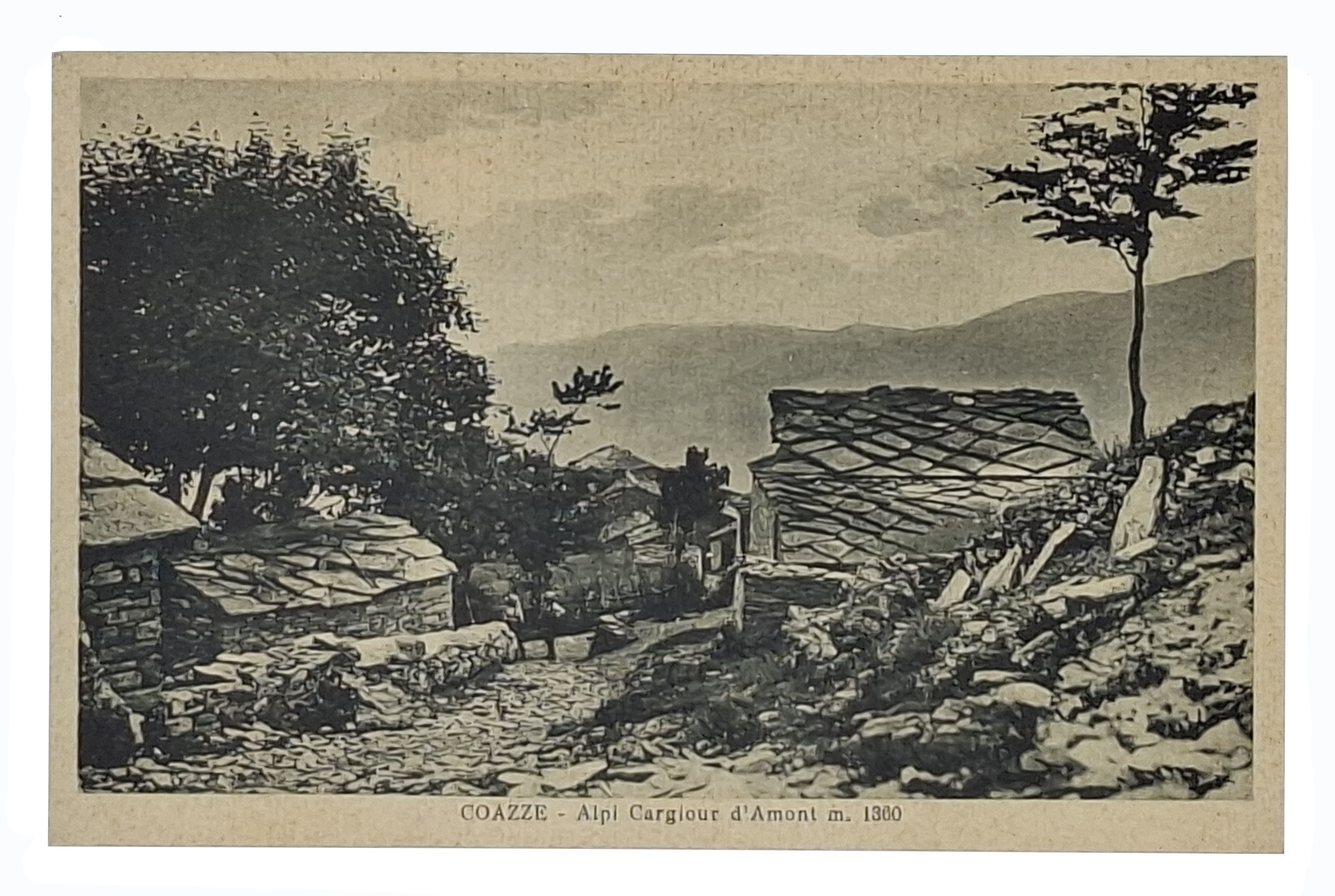 cartolina COAZZE - Alpi Cargiour d'Amont m. 1360