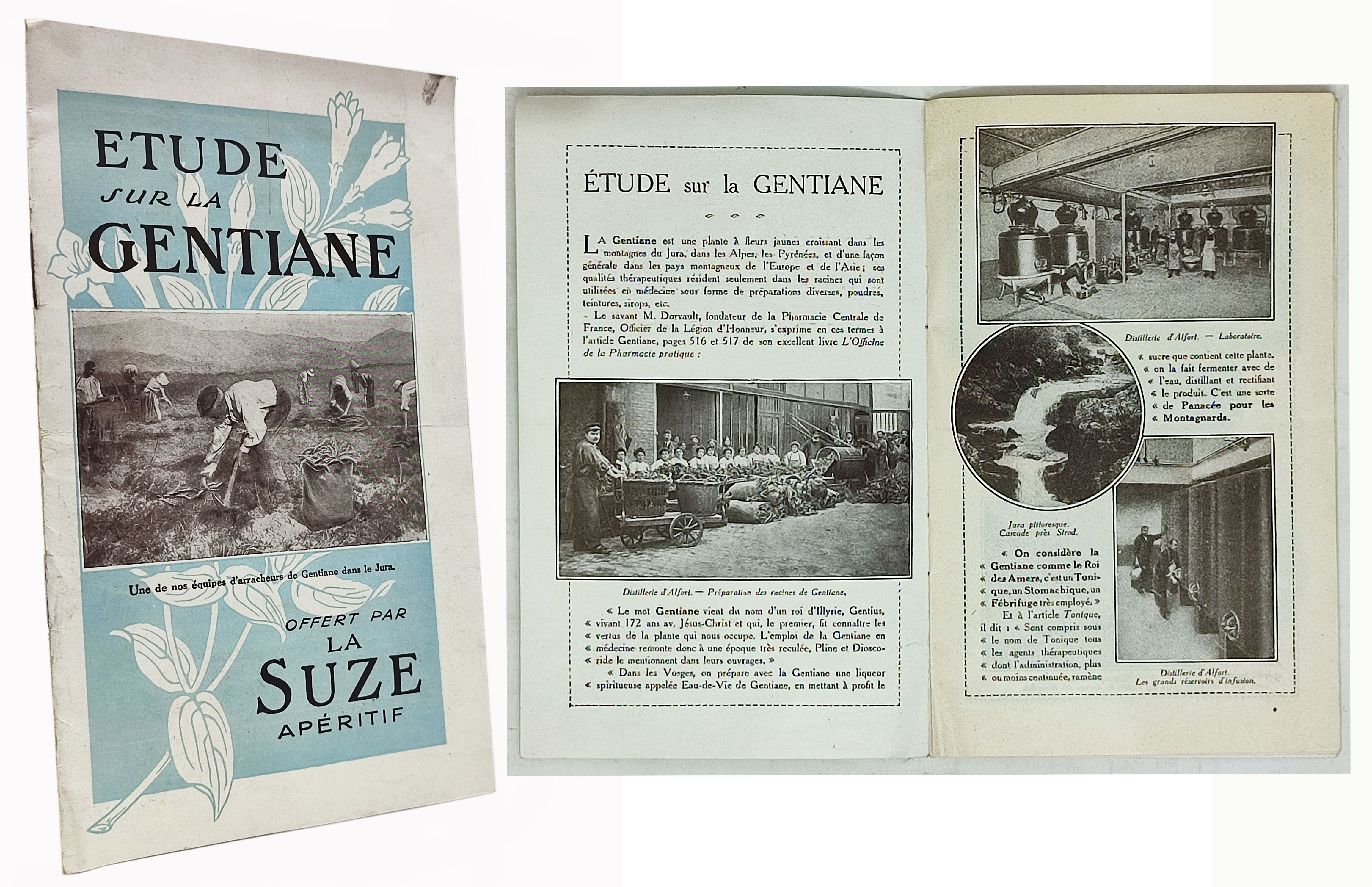 ETUDE SUR LA GENTIANE / Offert par la Suze apéritif