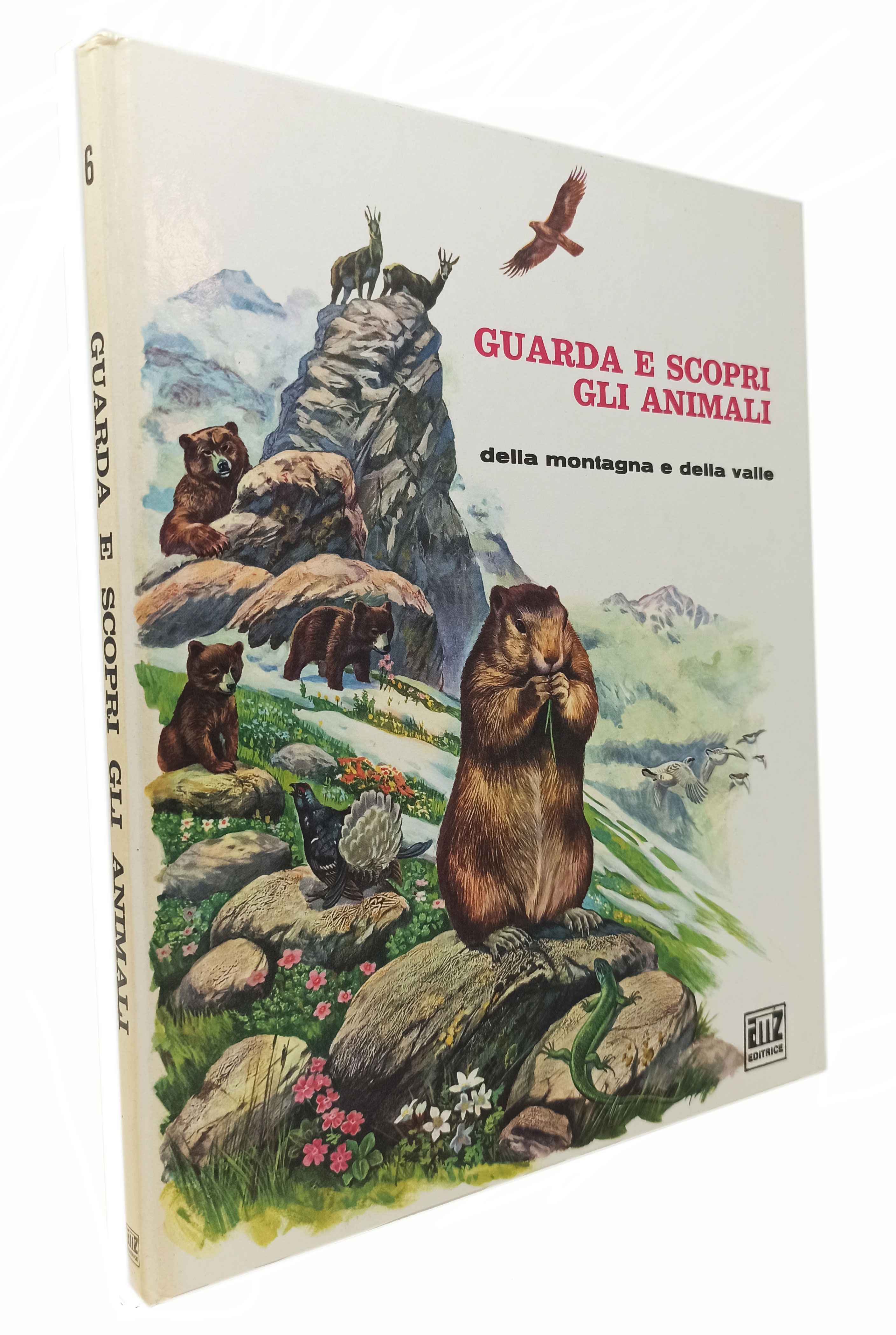 RICORDO DI ROMA / 70 vedute