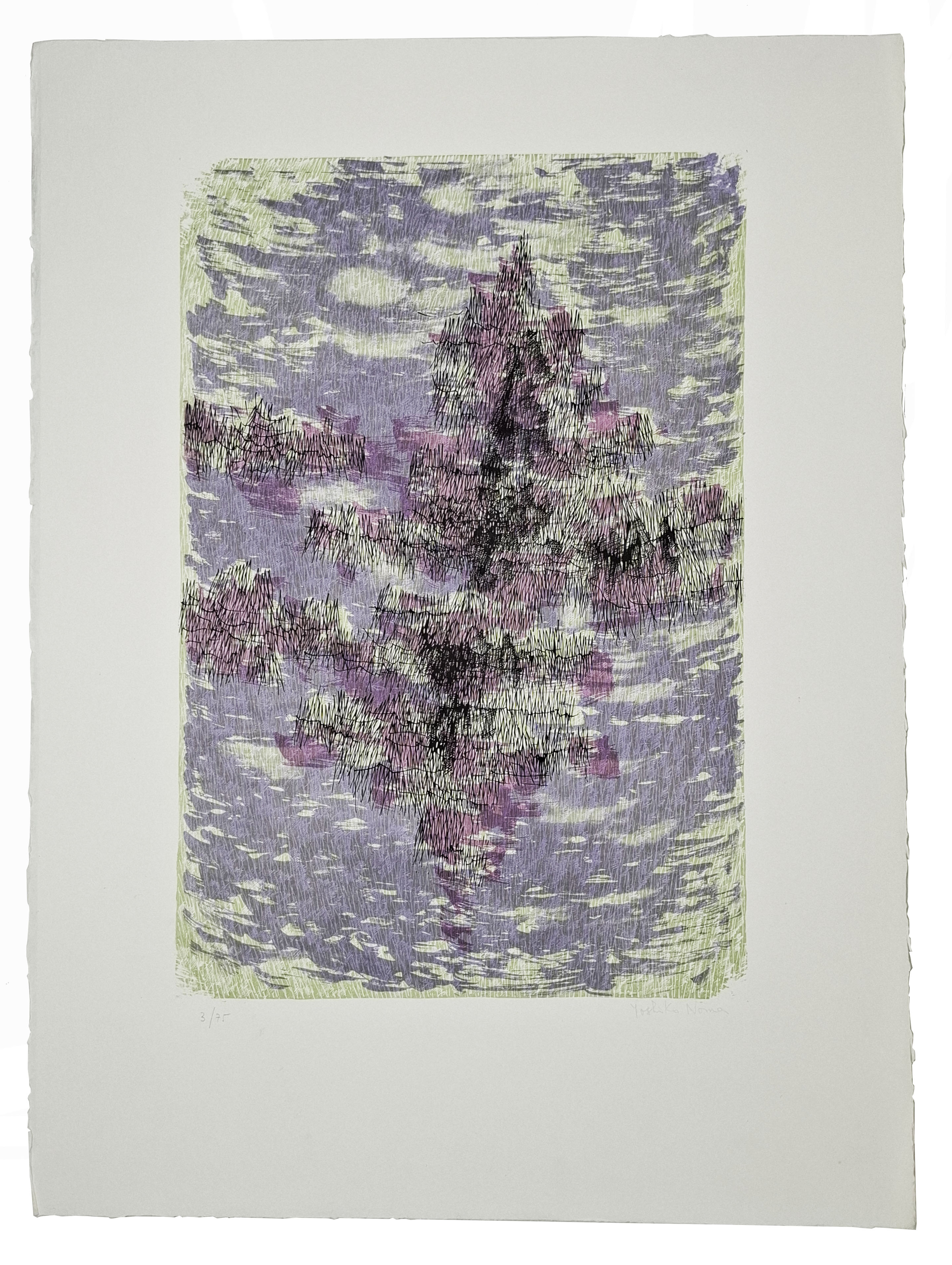 LITOGRAFIA firmata e numerata