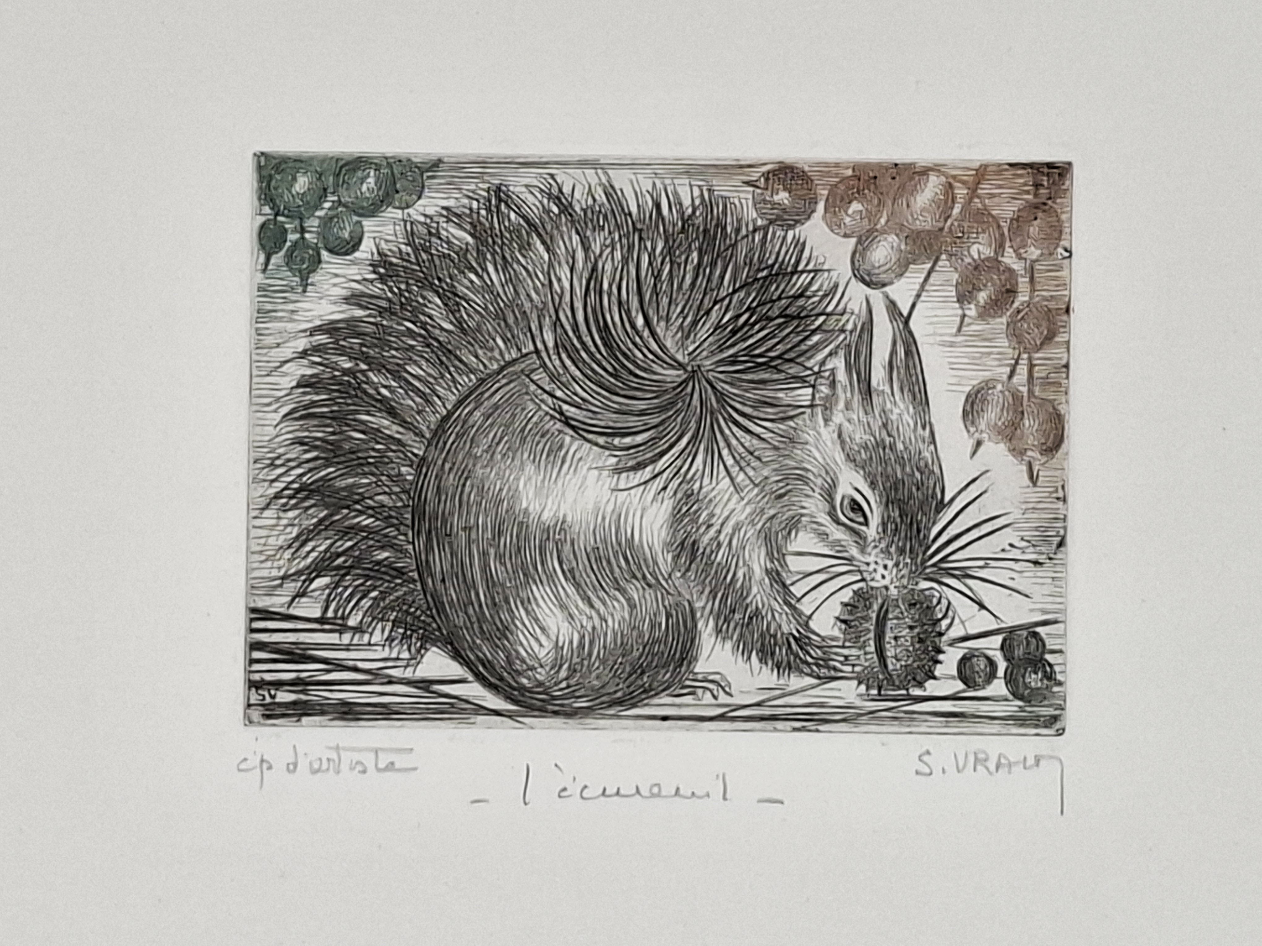 Litografia ' l'écureuil'