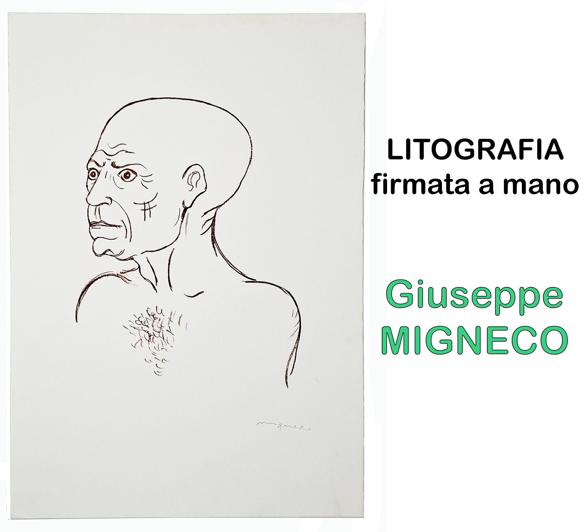 LITOGRAFIA omaggio a Picasso