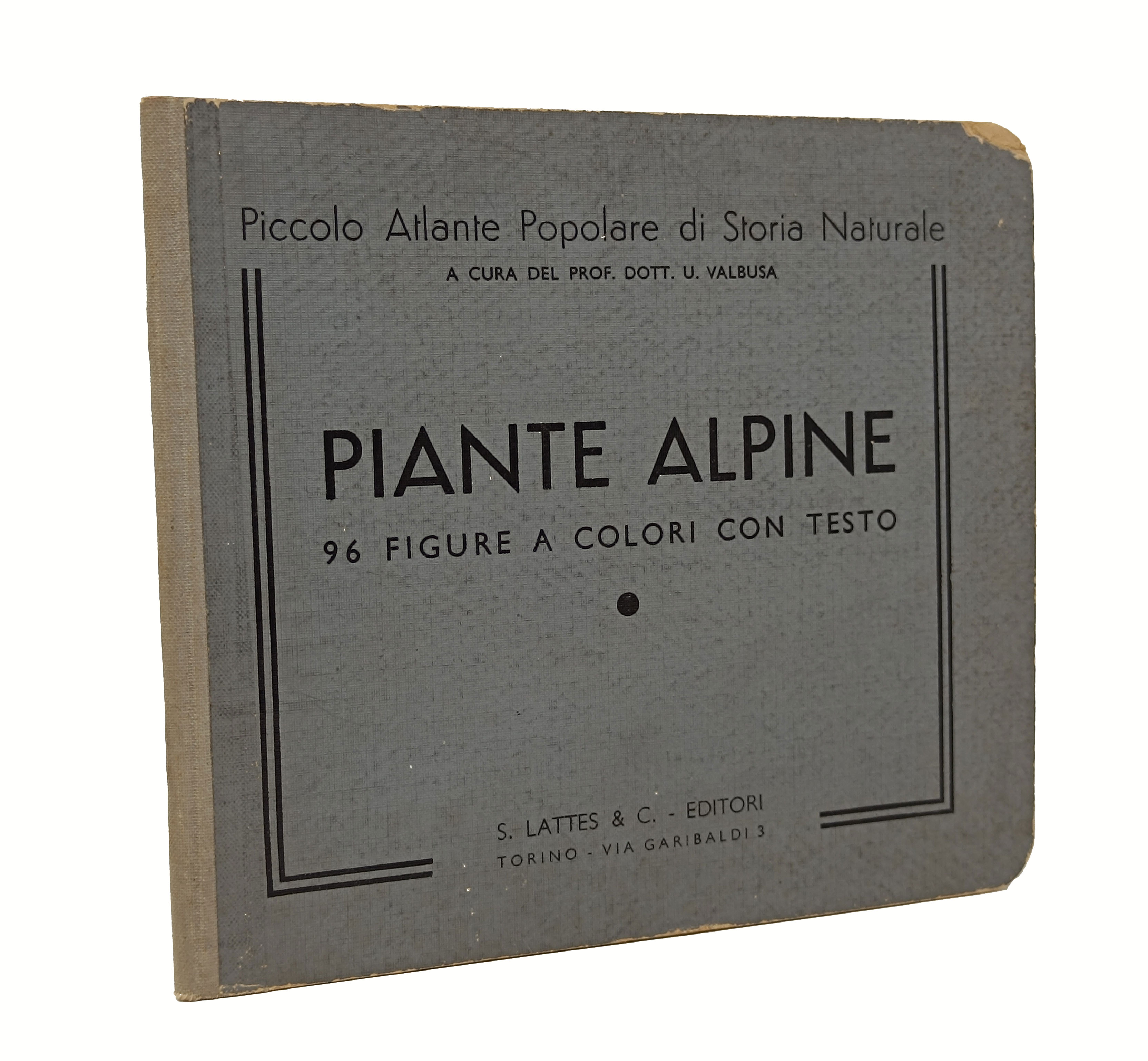 PIANTE ALPINE