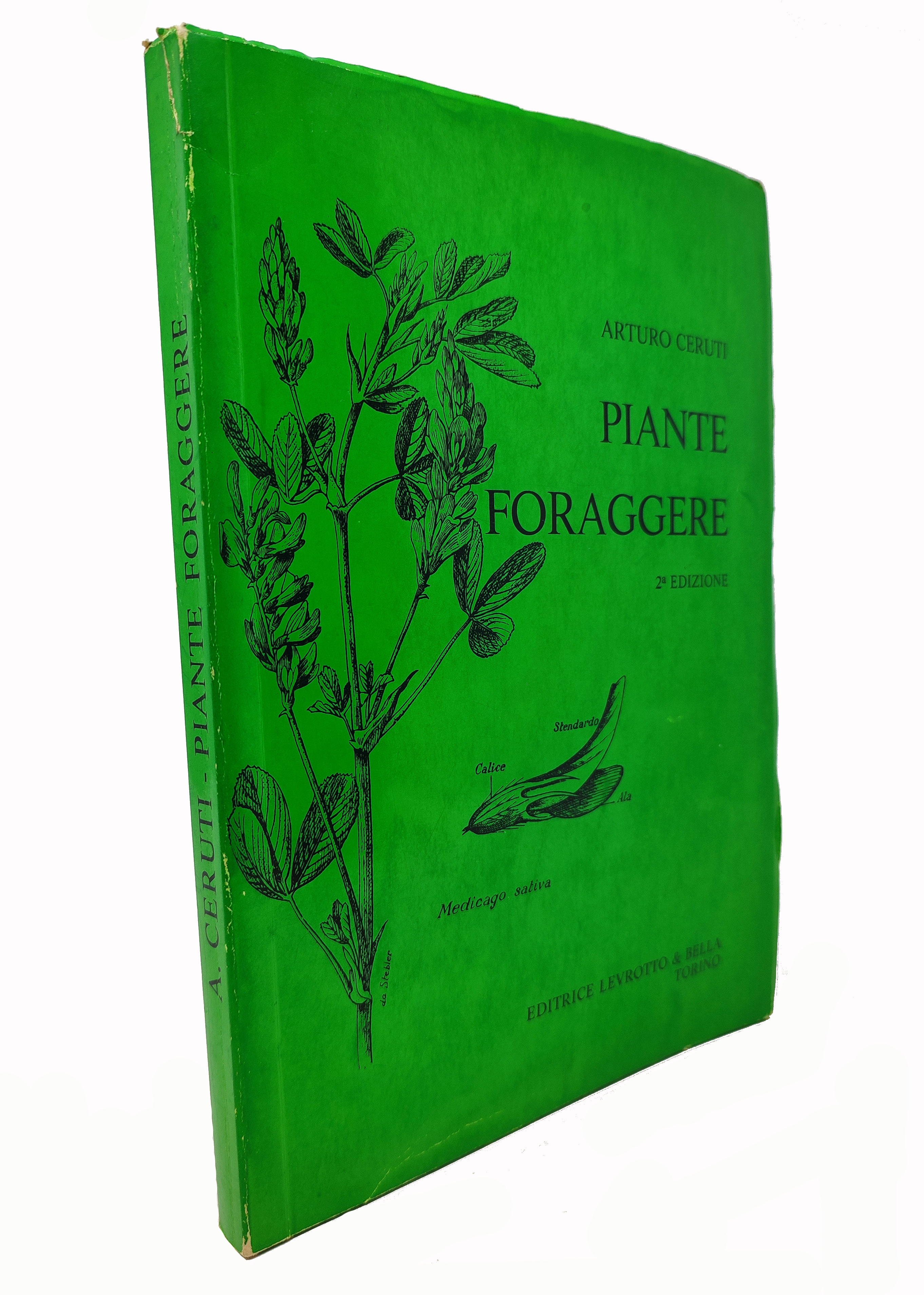 PIANTE FORAGGERE