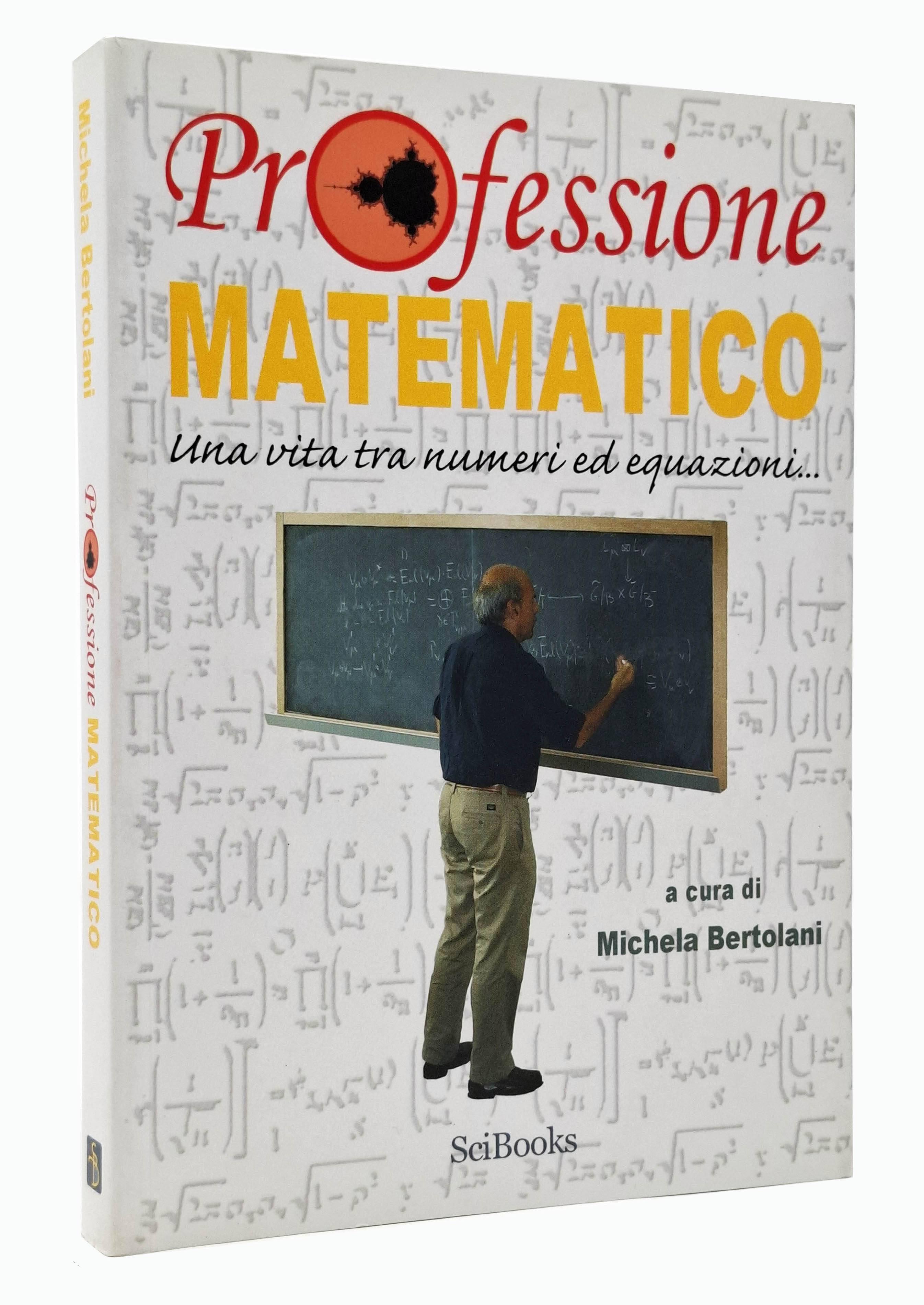 PROFESSIONE MATEMATICO una vita tra numeri ed equazioni