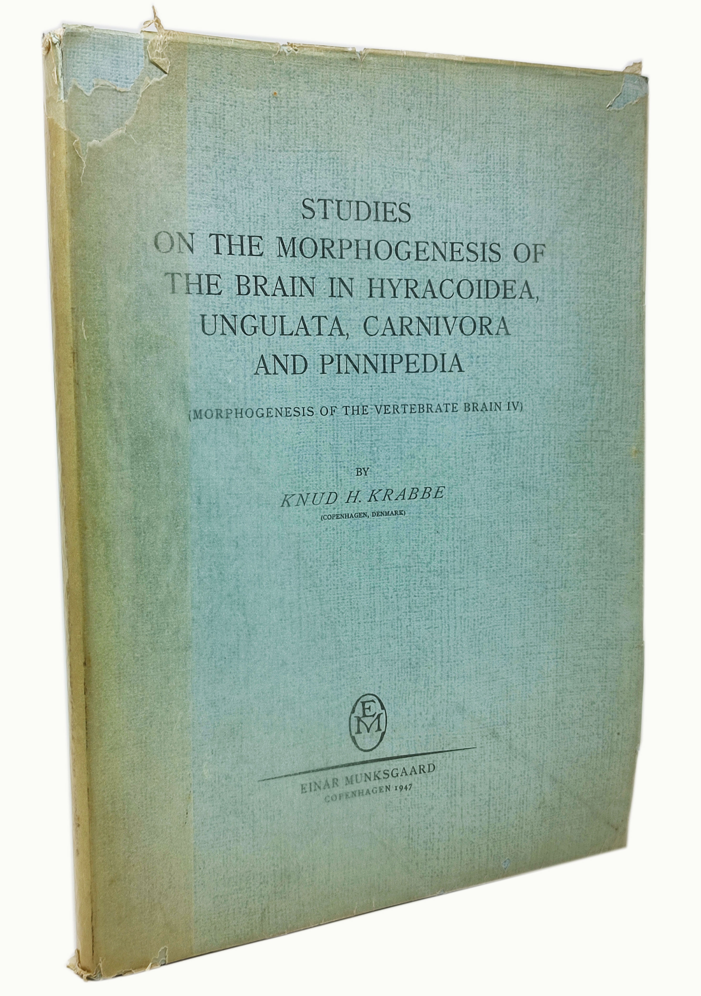 STUDIES ON THE MORPHOGENESIS OF THE BRAIN IN HYRACOIDEA, UNGULATA, …