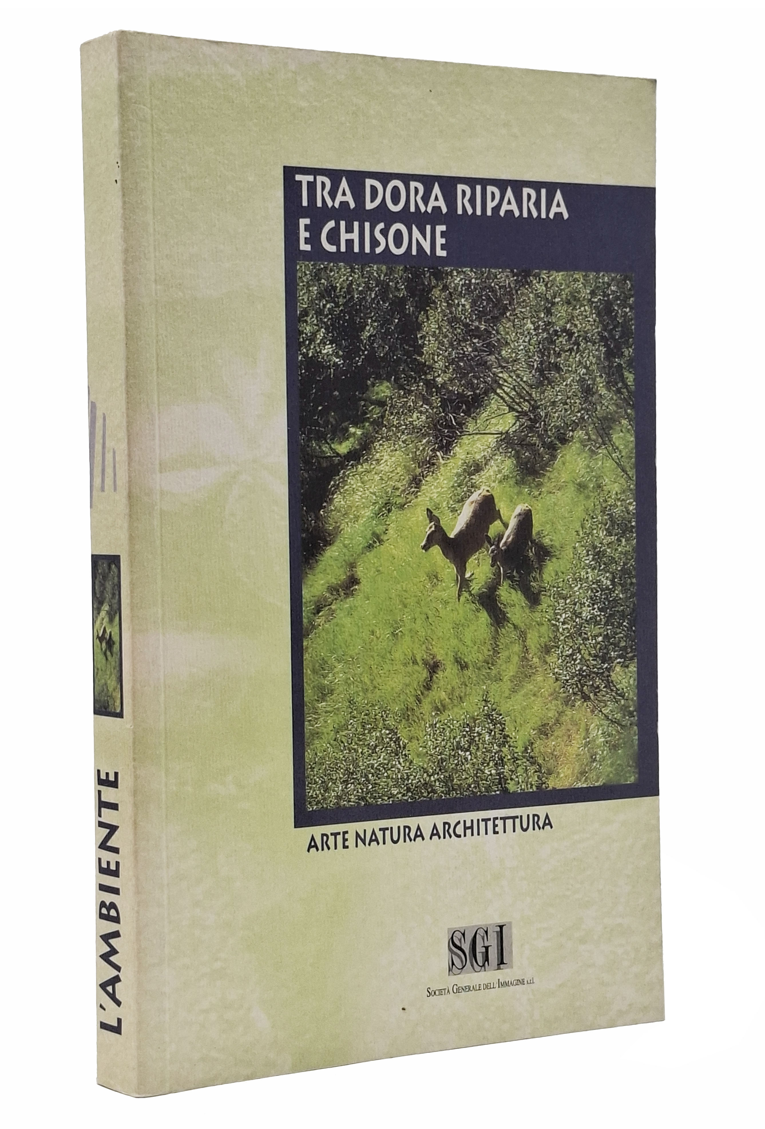 TRA DORA RIPARIA E CHISONE / Arte natura architettura