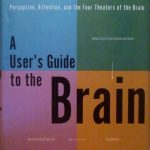 A USER'S GUIDE TO THE BRAIN - PERCEPTION, ATTENTION, AND …