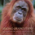 AMONG ORANGUTANS - RED APES AND THE RISE OF HUMAN …