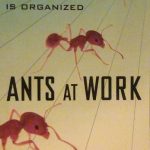 ANTS AT WORK - HOW THE INSECT SOCIETY IS ORGANIZED …