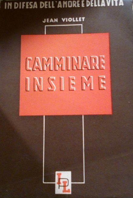 CAMMINARE INSIEME - IN DIFESA DELL'AMORE E DELLA VITA