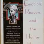 DESCARTES ERROR - EMOTION, REASON, AND THE HUMAN BRAIN