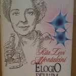 ELOGIO DELL'IMPERFEZIONE