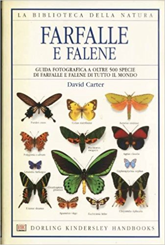 FARFALLE E FALENE