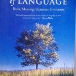 FOUNDATIONS OF LANGUAGE - BRAIN, MEANING, GRAMMAR, EVOLUTION