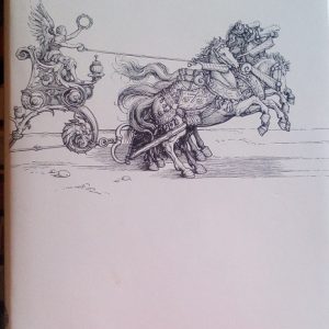 IL CIGNO