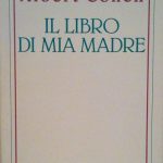 IL LIBRO DI MIA MADRE