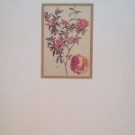 IL VERZIERE DI MELUSINA