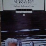 IO SONO QUI, TU DOVE SEI - ETOLOGIA DELL'OCA SELVATICA