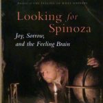 LOOKING FOR SPINOZA - JOY, SORROW AND THE FEELING BRAIN