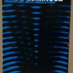 ONDE SONORE E ONDE LUMINOSE. PRINCIPI DEL MOTO ONDULATORIO