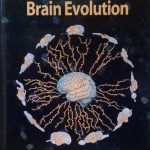 PRINCIPLES OF BRAIN EVOLUTION