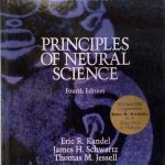 PRINCIPLES OF NEURAL SCIENCE - FOURTH EDITION