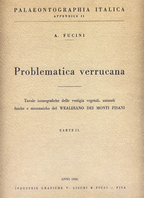 PROBLEMATICA VERRUCANA - PARTE 2