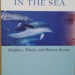 SOULS IN THE SEA - DOLPHINS, WHALES, AND HUMAN DESTINY