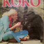 THE EDUCATION OF KOKO
