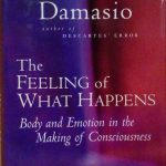 THE FEELING OF WHAT HAPPENS - BODY AND EMOTION IN …